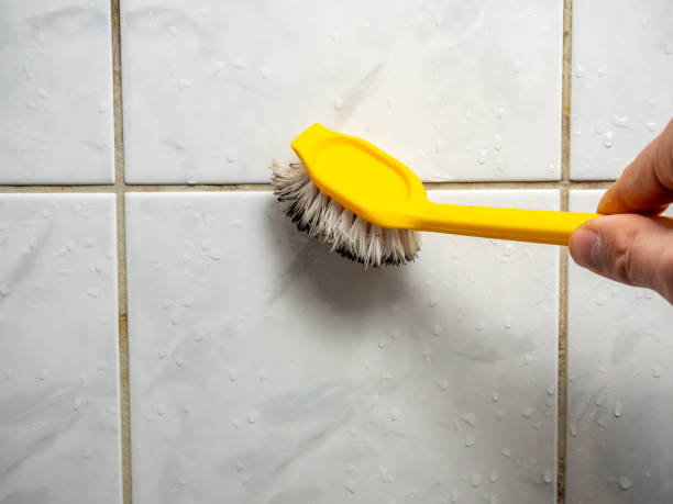 Best Toxic Mold Removal  in Central High, OK