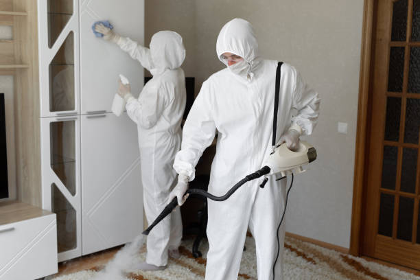 Best Attic Mold Removal  in Central High, OK